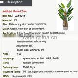 Artificial Decorative Banana Tree Ficus Tree Branch Live Bonsai Tree for Home and Office Decoration thumbnail-2