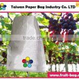Mango Fruit Grow Bag Mango Fruit Grape Covering Paper Bag thumbnail-1