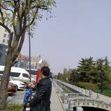 9.7 Meter 32 Feet Carbon Tube for Water Fed Extension Pole and High-altitude Picking Rod thumbnail-1