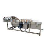 Automatic Lettuce Bubble Washer Machine Mung Bean Sprouts Cleaning Machine thumbnail-6