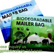 Yantai Bagease Packaging Production Co.,ltd. company overview - view 4 thumbnail