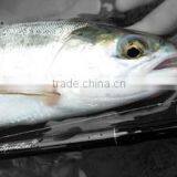 Pioneer Technology Nz Limited company overview - view 2 thumbnail