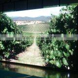 China Full Color Slim Rental LED Screen/Indoor/Outdoor HD Video LED Display thumbnail-6