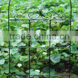 Metal Garden Fence thumbnail-2