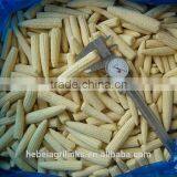 Frozen Style Baby Corn Whole thumbnail-2