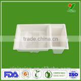 Good Quality Custom Industrial Plastic Disposable Sushi Container Tray