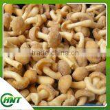 Price For Purchase Mameko Iqf 2015 Corp thumbnail-6