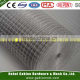 1/2, 1/3,1/4 galvanized welded wire mesh /Hot dipped galvanized hardware cloth