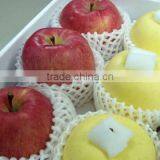 High Quality Soft Foam Net, Strawberry Net Wrappers, PE Foam Flower Bud Protective Netting thumbnail-6