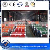 GI steel Z50g/m2 0.25mm*1200mm Shandong Taian Zhongcan Steel Coils for Door