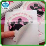 OEM Design Custom Pvc Vinyl Sticker Logo Stickers Adhesive Sticker Labels in Roll