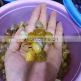 yellow color natural polished agate tumble stone