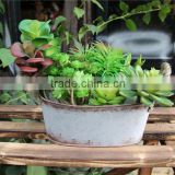 China Supplier Western Style Oval Rusty Garden Decoration Metal Plant Flowerpots