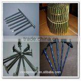 Building Common Wire Nail, Construction Common Nail Iron Nail Factory thumbnail-6