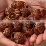 Soapnut/Saponin/Mukorossi Supplier /Exporter From China/Russia/India//Second Grade thumbnail-2