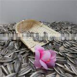 Sunflower Seeds of High Quality thumbnail-3