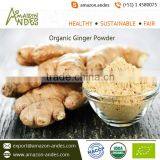 100% Natural and Organic Ginger Powder by Top Ranked Manufacturing Company