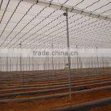 Commercial Greenhouses China thumbnail-6