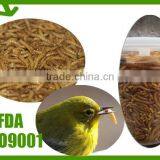 Dried Fish Food Dried Mealworms,100% Natural Mealworms Bird Food thumbnail-2