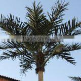 Cheap Artificial Palm Tree Artificial Coconut Palm Outdoor Coconut With Road Light thumbnail-3