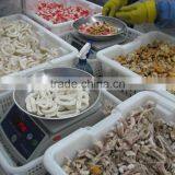 Seafood Medly thumbnail-6
