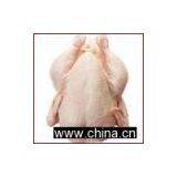 Frozen Chicken thumbnail-1
