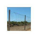 Barbed Wire Mesh 3 thumbnail-1