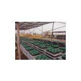 Color Brick Making Machine Hot Sale Worldwide thumbnail-2