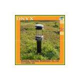 Solar Lawn Light in Energy