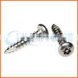 China Supplier Pan Head Anti-theft Screw thumbnail-1