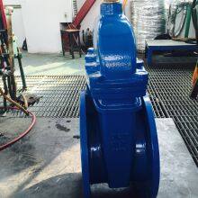 PN25 DIN F4 Non-rising Stem Resilient Seated Gate Valve thumbnail-5