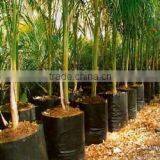 Pt. Unison Prima Utama company overview - view 2 thumbnail