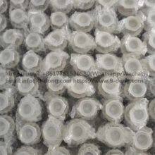 Stainless Steel Check Valve Checkvalve 1000WOG 1000PSI Bsp SS316 thumbnail-3