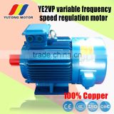 132kw 6 pole YVP series frequency variable motor