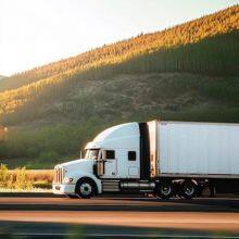 Professional Cargo Services: Secure Door-to-Door Sea & Air Freight Solutions thumbnail-5