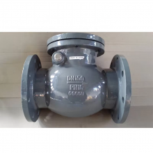 DIN BS Flanged End Metal Seat Check Valve Pn16 2-24 Inch Stop Valve for Water Oil Gas Appliance thumbnail-6