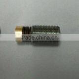 Brake Screw