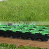Biodegradable Plastic Seeder Tray thumbnail-1