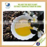 High Quality China Manufacturer Cosmetic Camellia Oil
