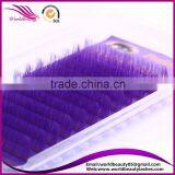 OEM Service ! Purple and Blue 3D 0.07 Eyelash Extension