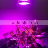 Full Spectrum Hydroponic Grow Light COB 21W Plant Led Grow Light thumbnail-5