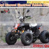 QWMOTO CE 250cc Quad Bike ATV 200cc 250cc Adult ATV 250cc Loncin ATV For Sale