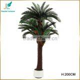 Customized Evergreen Artificial Cycas Revoluta Tree for Sale in Stock thumbnail-5
