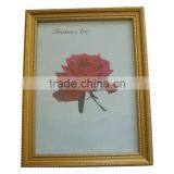 PS Photo Frame-130*180mm