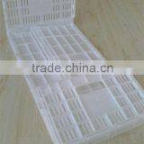 Plastic Fold Egg Storage Container thumbnail-2