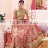 Sumptuous Hot Pink Embroidered Work Net A Line Lehenga Choli/buy Designer Lehengas Online thumbnail-2
