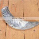 Buffalo/ox /cow Raw Horn for Decoration Manufacturing India thumbnail-4