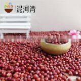 Vigna Bean Adzuki Bean 2016 Crop Small Red Bean thumbnail-4