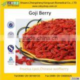 GMP Manufacturer supply natural high quality Goji Berry