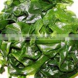 Dried Kelp Fresh Kelp thumbnail-1